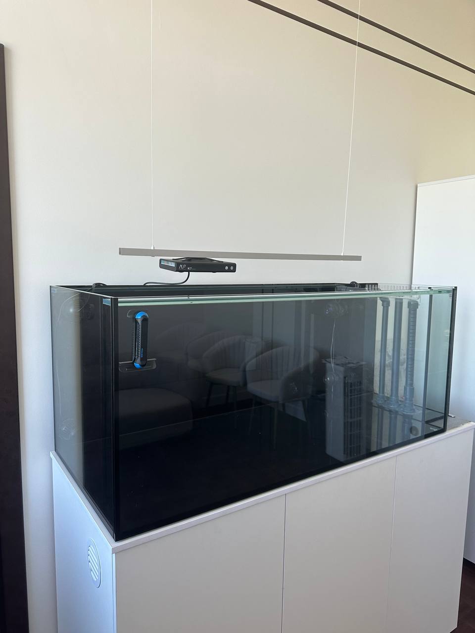 How I decided to install a marine aquarium in my office, without understanding anything about aquarium keeping Part 1 - My, Aquarium, A fish, Video, Vertical video, Longpost, Marine Aquarium