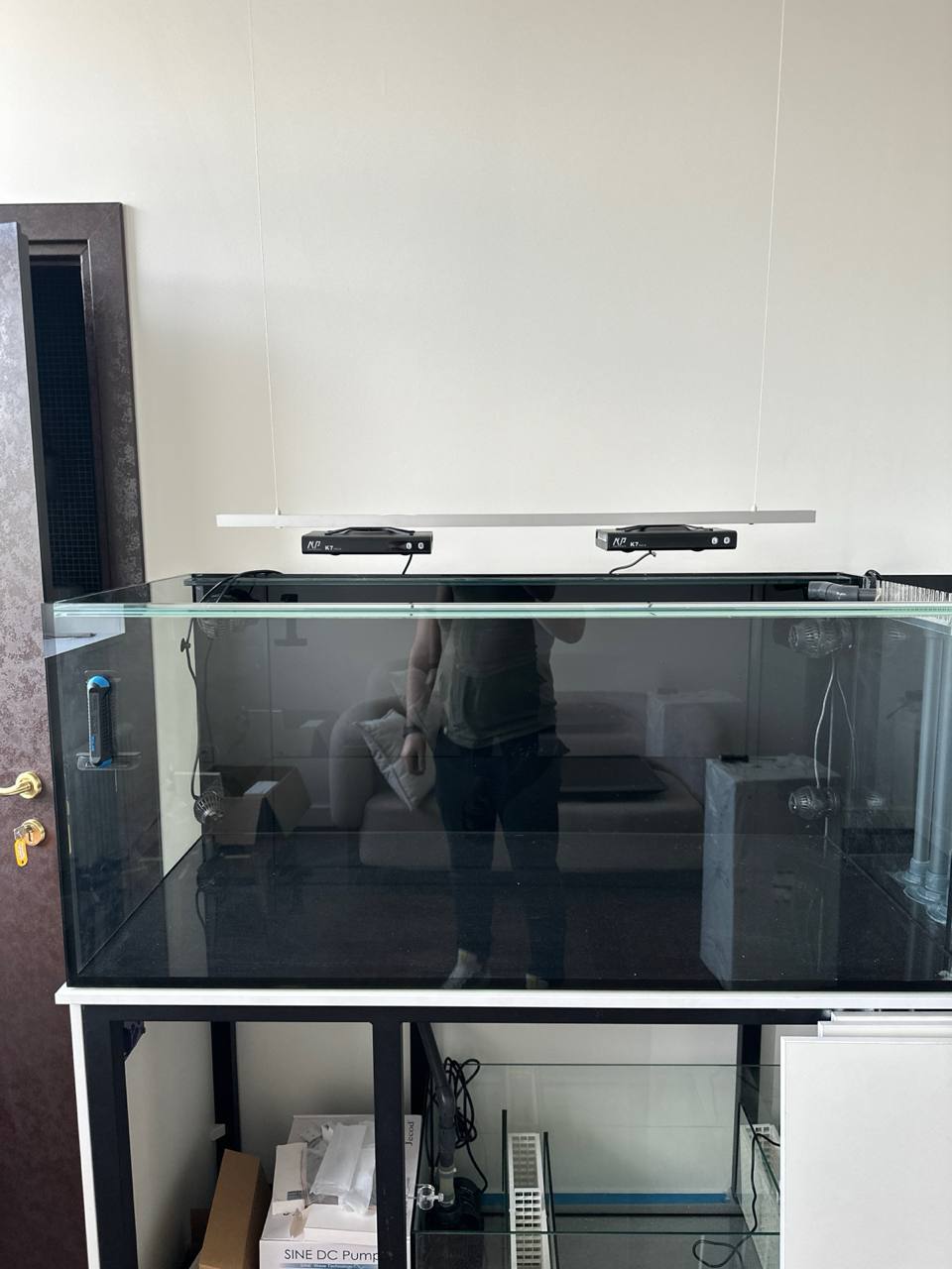 How I decided to install a marine aquarium in my office, without understanding anything about aquarium keeping Part 1 - My, Aquarium, A fish, Video, Vertical video, Longpost, Marine Aquarium