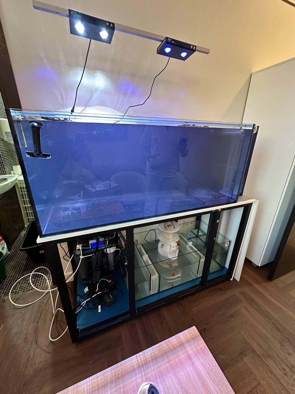 How I decided to install a marine aquarium in my office, without understanding anything about aquarium keeping Part 1 - My, Aquarium, A fish, Video, Vertical video, Longpost, Marine Aquarium