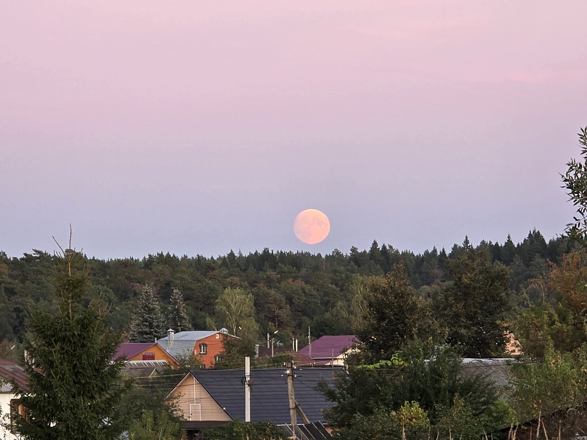 Moonrise and sunset - My, Mobile photography, moon, Sunset, Nature, cat, River, Road, Longpost