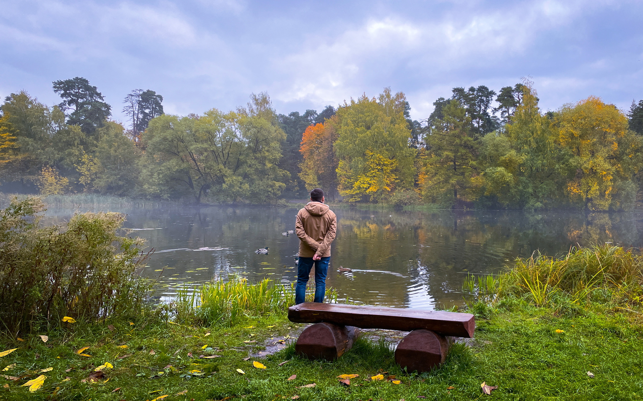 Autumn thoughts - My, The photo, Portrait, Beautiful view, Nature, Serebryany Bor