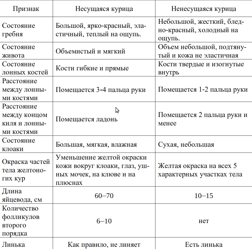 How can you tell which chickens are laying eggs and which are not? - My, Сельское хозяйство, Entrepreneurship, Small business, Poultry, Hen, Eggs, Birds, Market, Trade, Business, Exterior, Farmer, Aviary, Chicken coop, Longpost