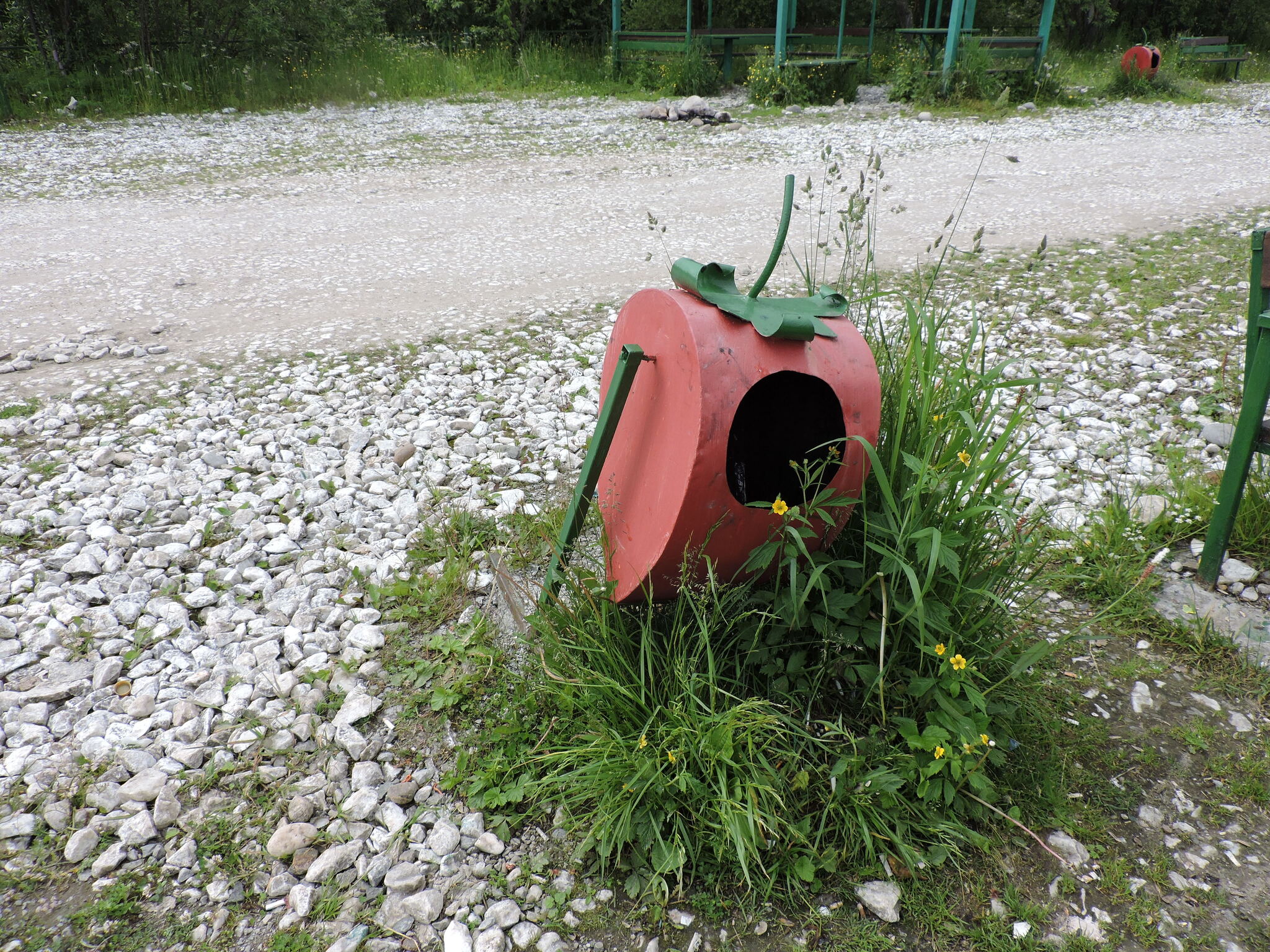 Strawberry - My, Travel across Russia, Road trip, Baikalsk, Irkutsk region, Strawberry (plant), Longpost