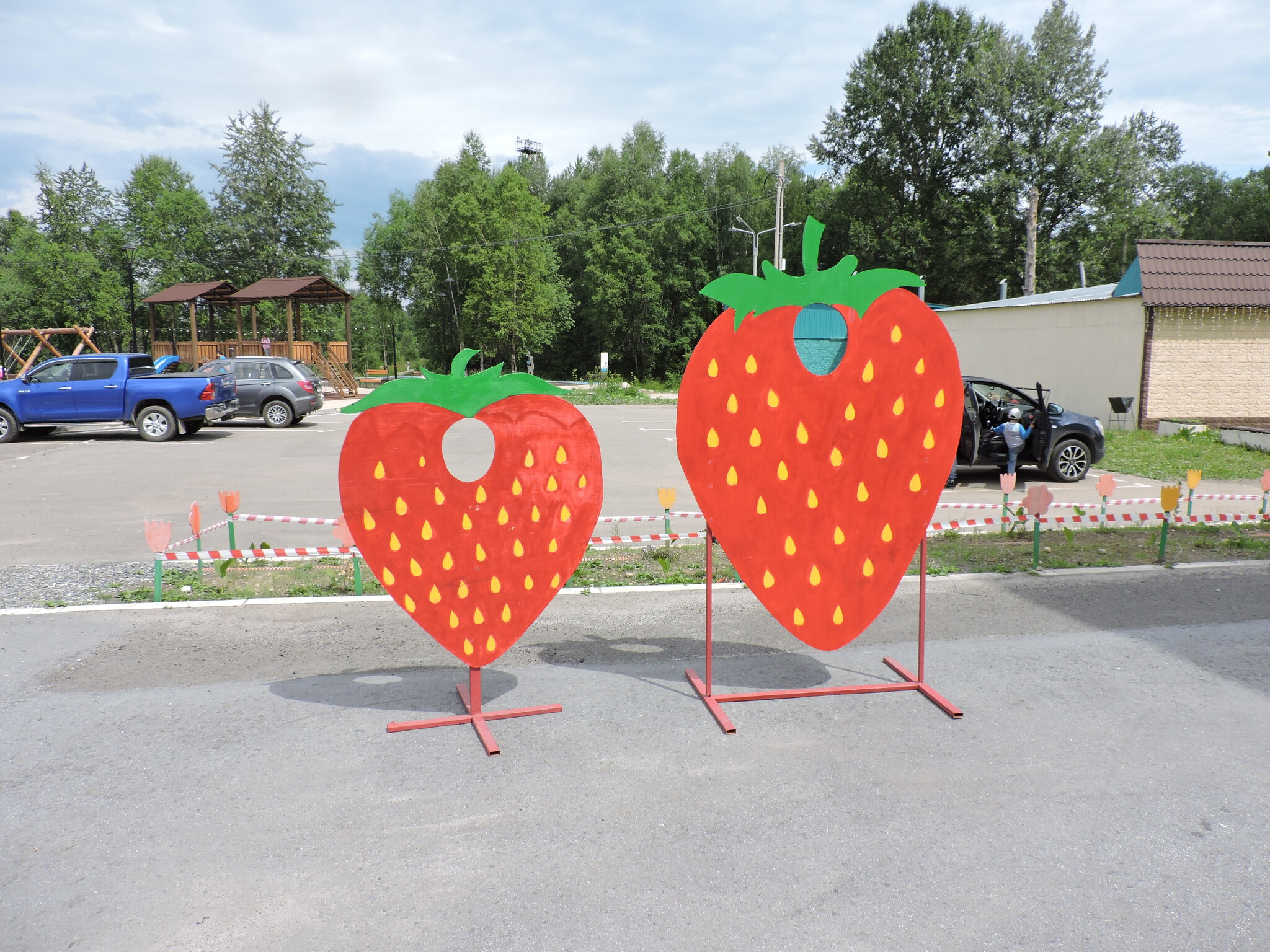 Strawberry - My, Travel across Russia, Road trip, Baikalsk, Irkutsk region, Strawberry (plant), Longpost