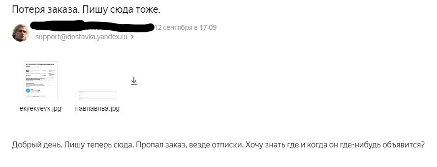 Yandex delivery + Avito delivery = unknown - My, Yandex Delivery, Negative, Avito, Delivery, Service, Support service, Longpost