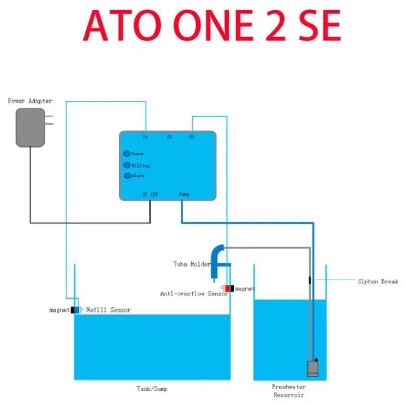 How I decided to install a marine aquarium in my office, without understanding anything about aquarium keeping Part 2 - My, Aquarium, Sea, A fish, Aquarium, Marine life, Ocean, Video, Vertical video, Longpost