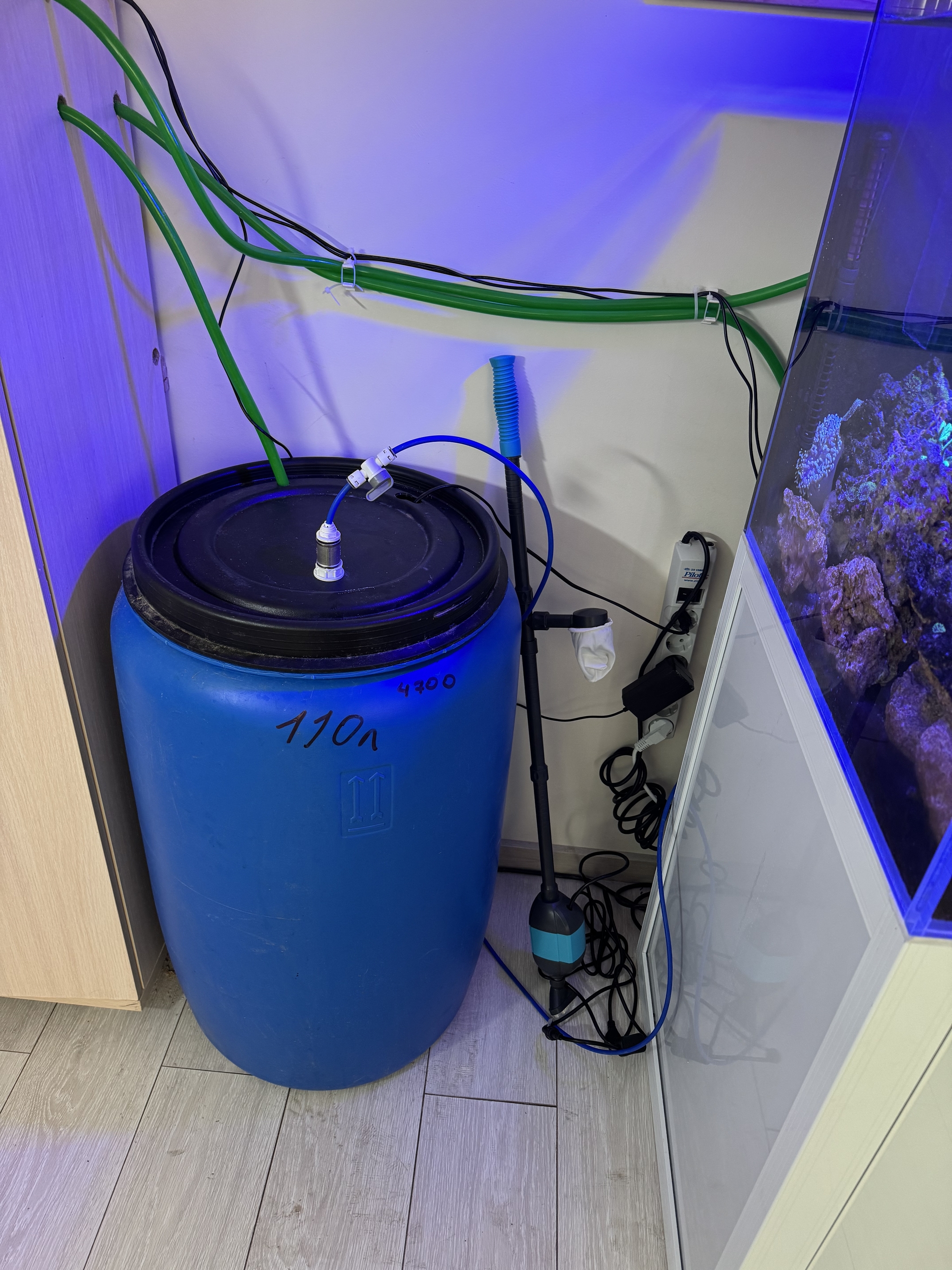 Aquariums in the office - My, Aquarium, Office, Automation, Sea, Aquarium fish, Longpost