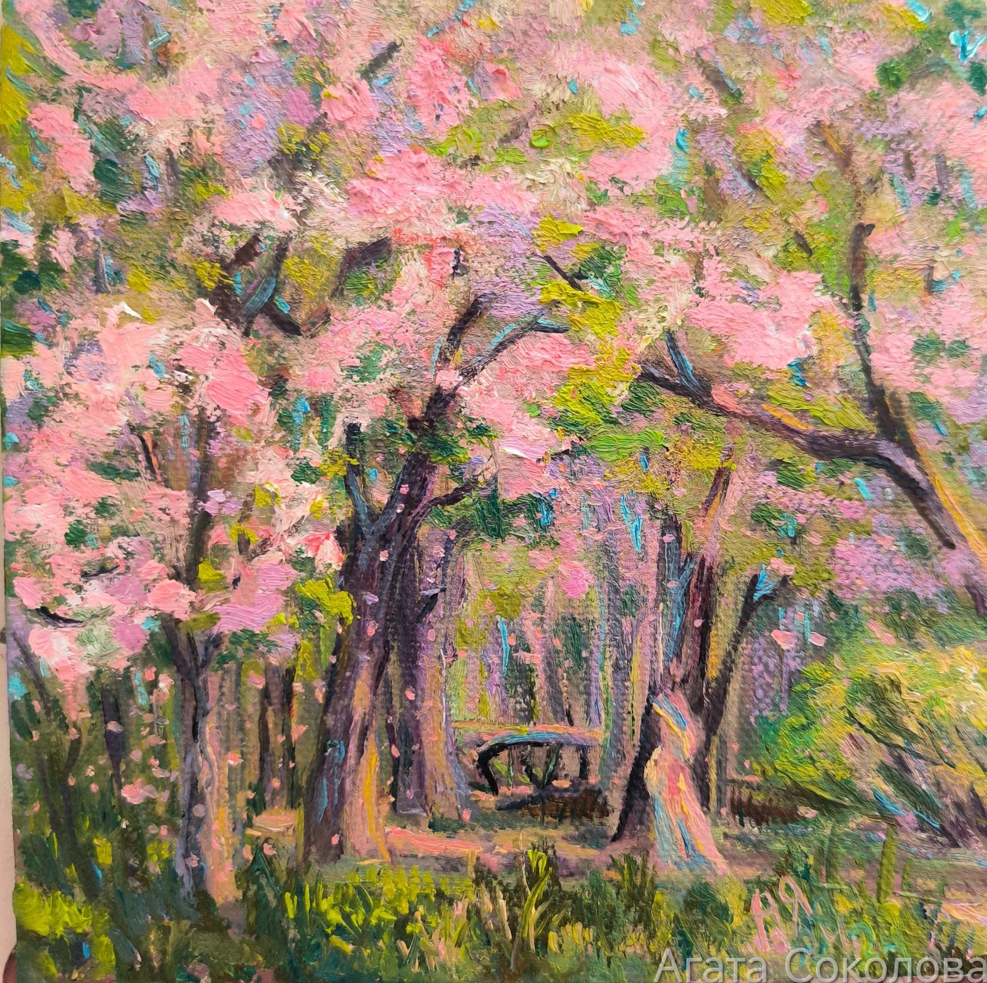 Memories of Sakura - My, Oil painting, Lyrics, Author's painting, Painting, Sakura, Biryulyovo, Spring