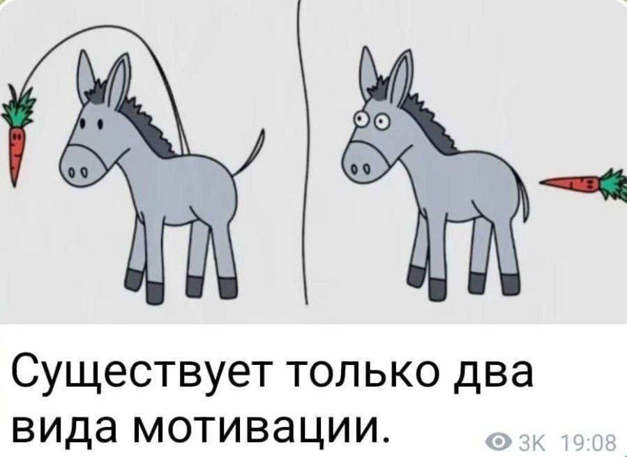 Motivation - Motivation, Memes, Old, Repeat, Picture with text, Carrot, Donkey, Sad humor