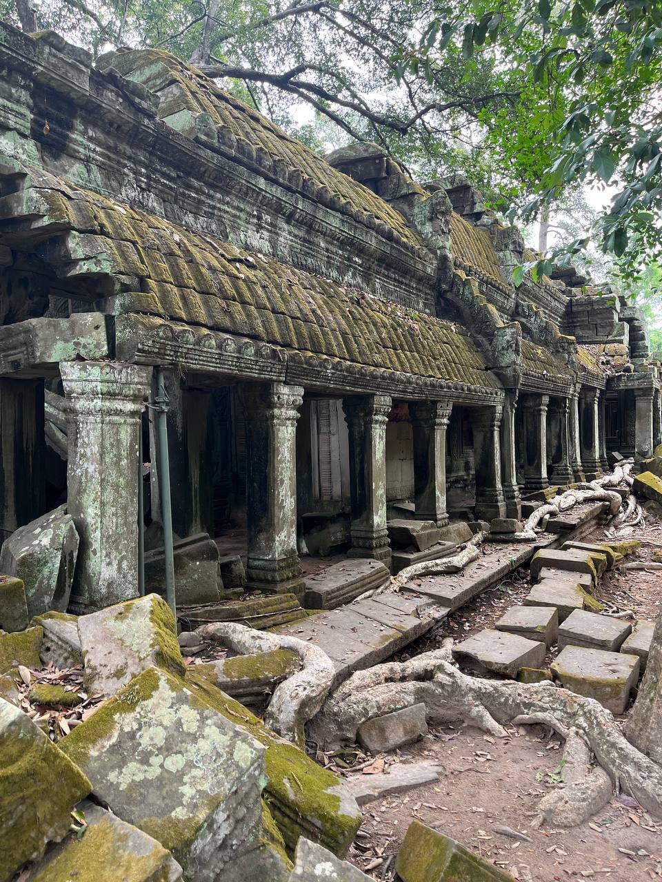 Angkor Wat and the Peculiarities of Family Life in Cambodia - My, Travels, Asia, Cambodia, Angkor Wat, Siem Reap, Drive, Temple, Longpost