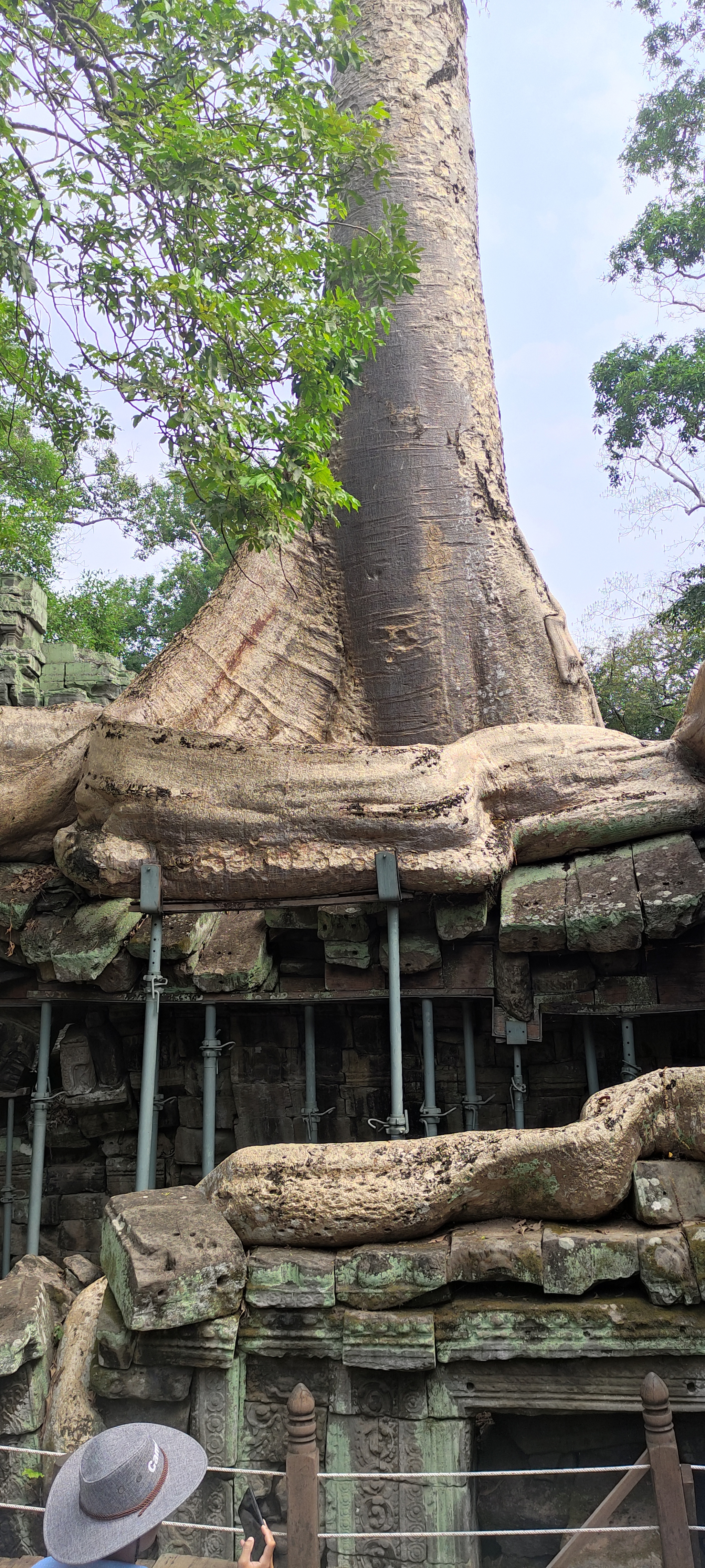 Angkor Wat and the Peculiarities of Family Life in Cambodia - My, Travels, Asia, Cambodia, Angkor Wat, Siem Reap, Drive, Temple, Longpost