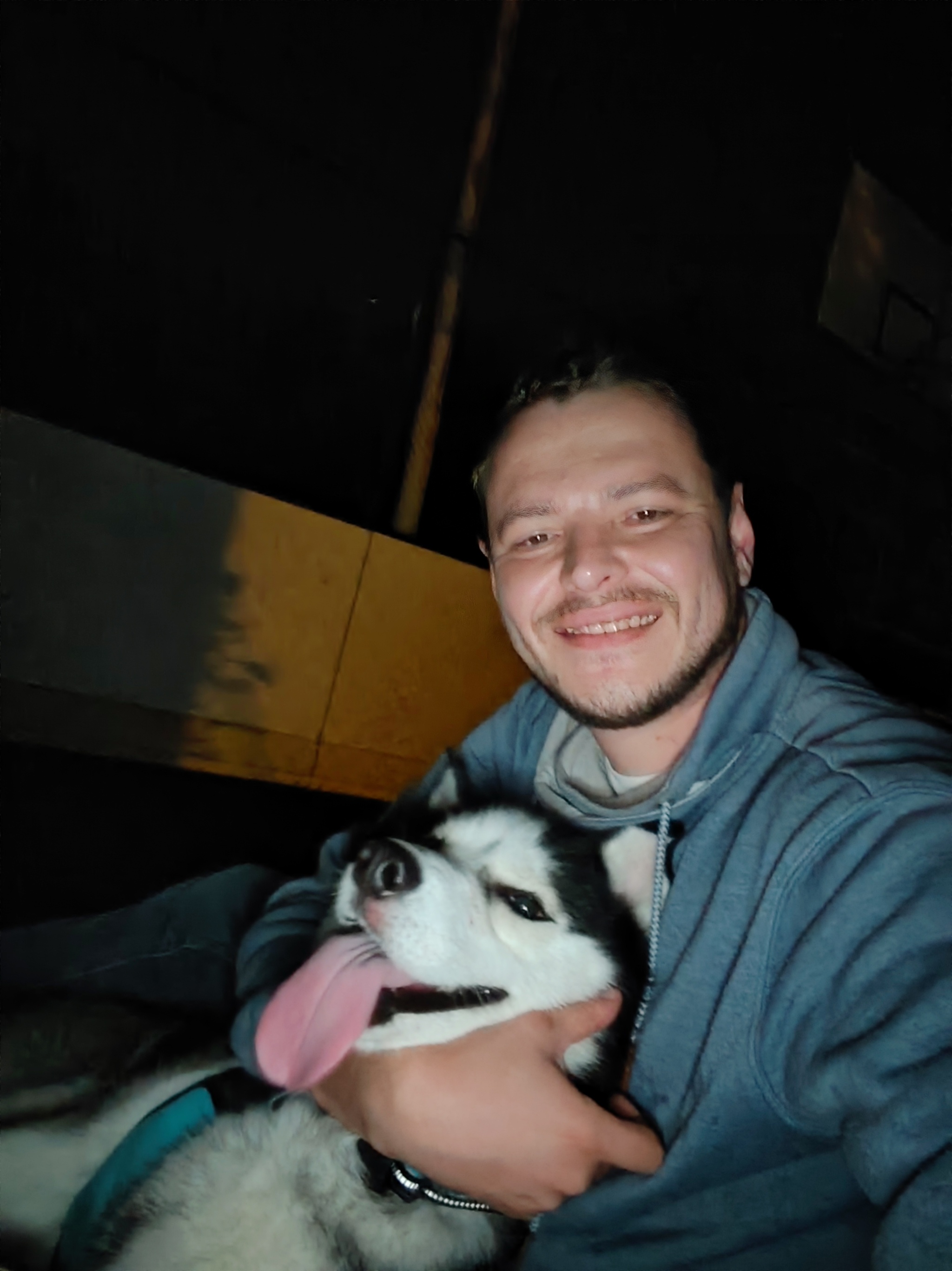 Husky in the apartment - total destruction! Myth or reality? My experience - My, Siberian Husky, Pets, Longpost