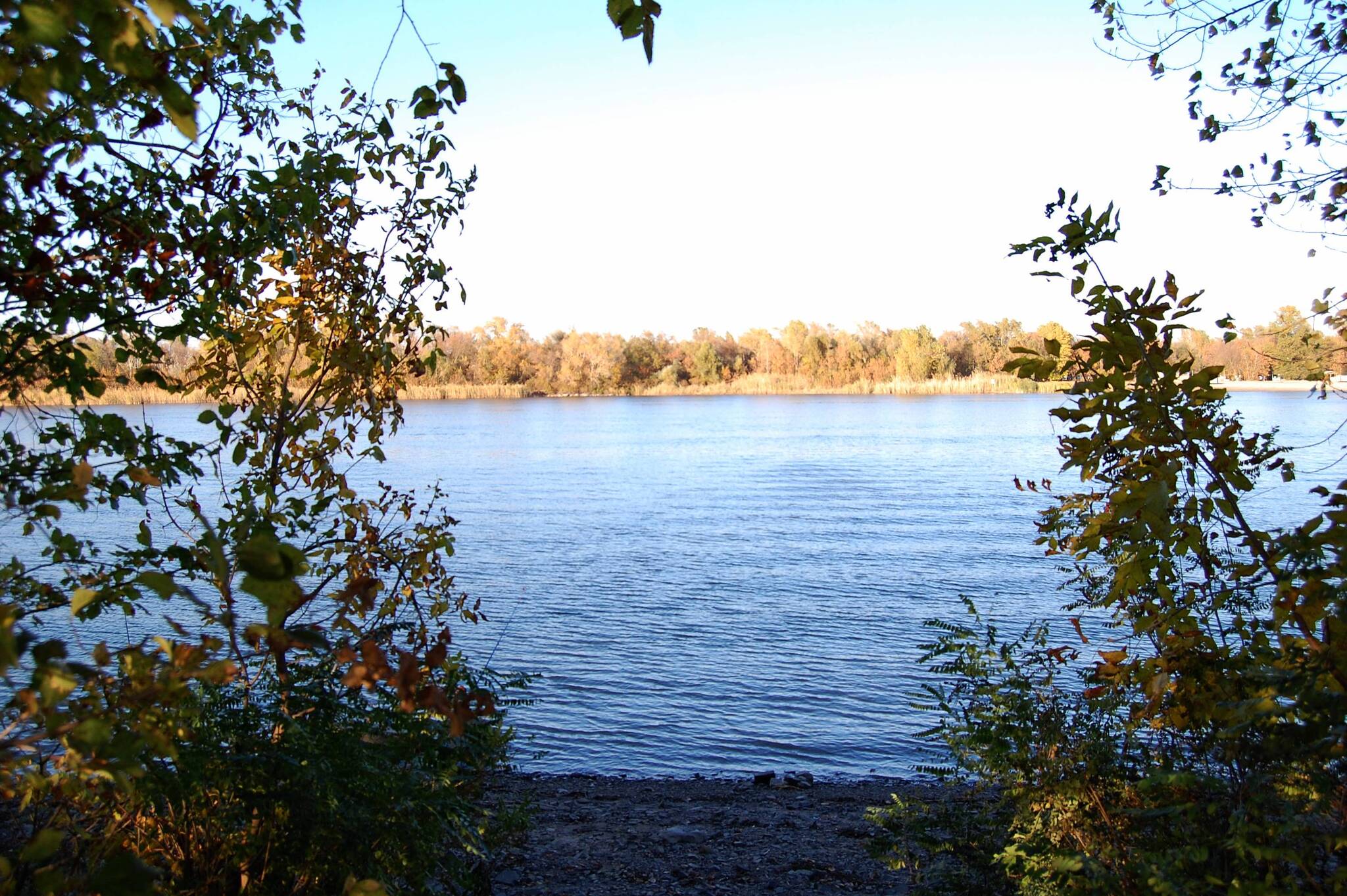 Fires of Autumn - My, The photo, Landscape, Nature, The left bank of the Don, Autumn, Longpost