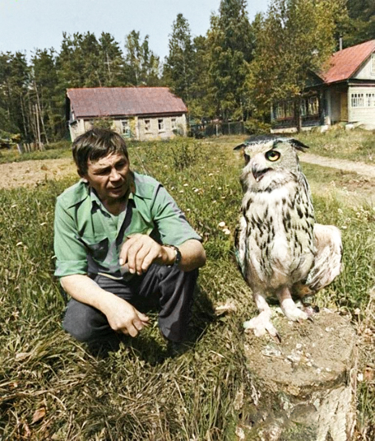 A selection of simple and stunning photographs from the USSR era. 20 colorized photographs, Part IX - My, Old photo, Historical photo, the USSR, Made in USSR, Childhood in the USSR, Colorization, 70th, 60th, 80-е, Longpost