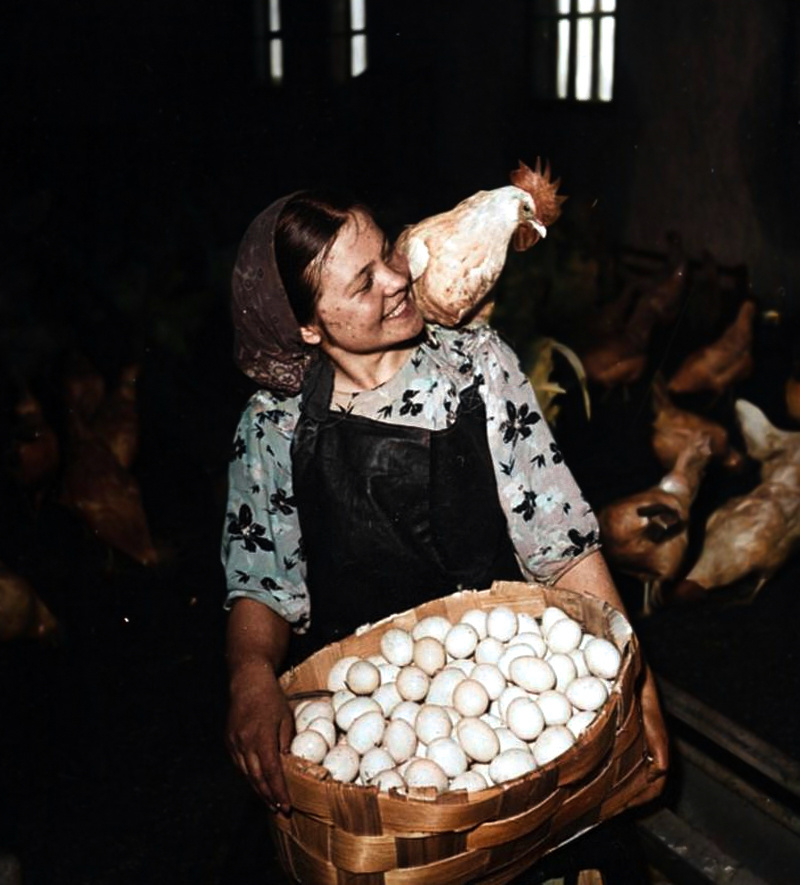 A selection of simple and stunning photographs from the USSR era. 20 colorized photographs, Part IX - My, Old photo, Historical photo, the USSR, Made in USSR, Childhood in the USSR, Colorization, 70th, 60th, 80-е, Longpost