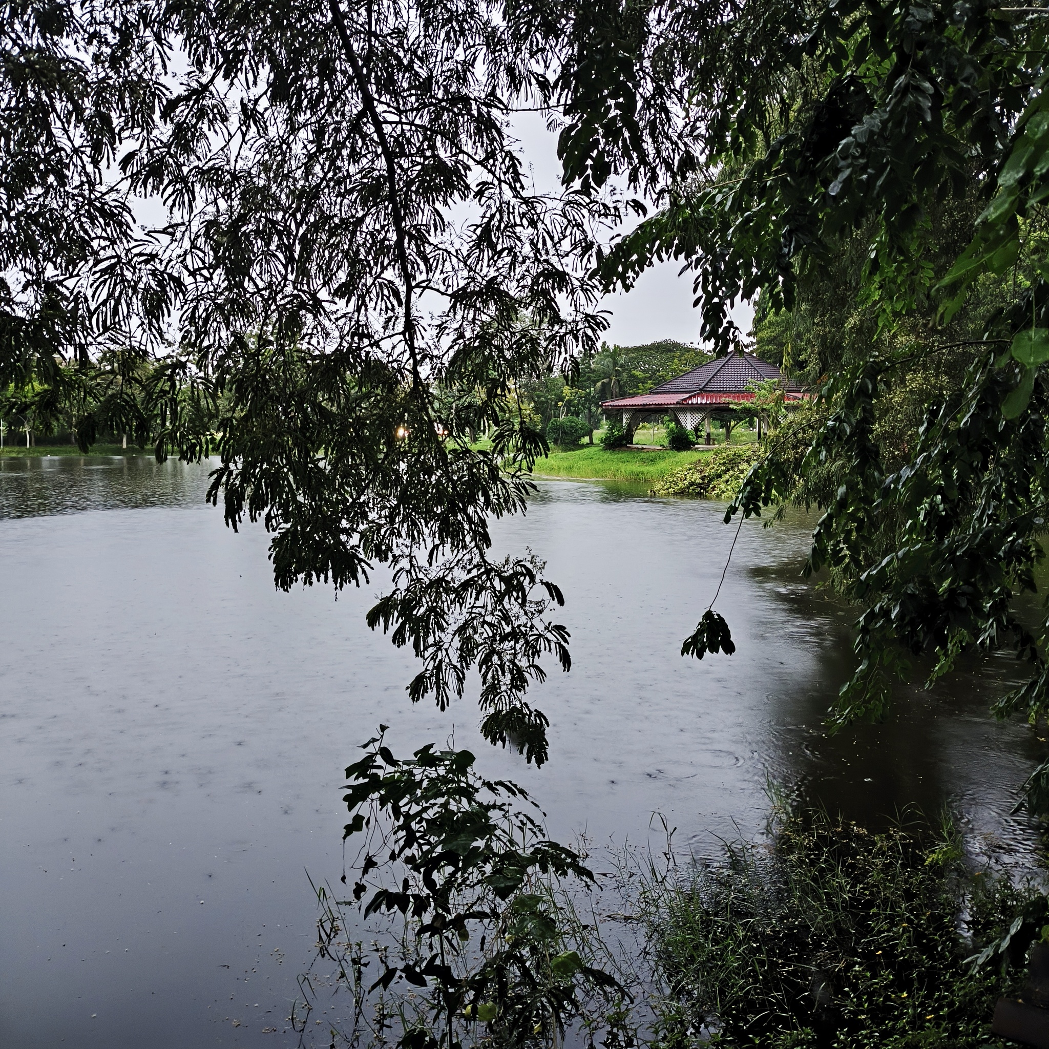 Melanesia Travel Diary. Cambodia. Day 90. Paradise in a Hut - My, Drive, Travels, Informative, Around the world, Cambodia, Hitch-hiking, Life stories, Туристы, Kindness, People, Thailand, Longpost, The photo