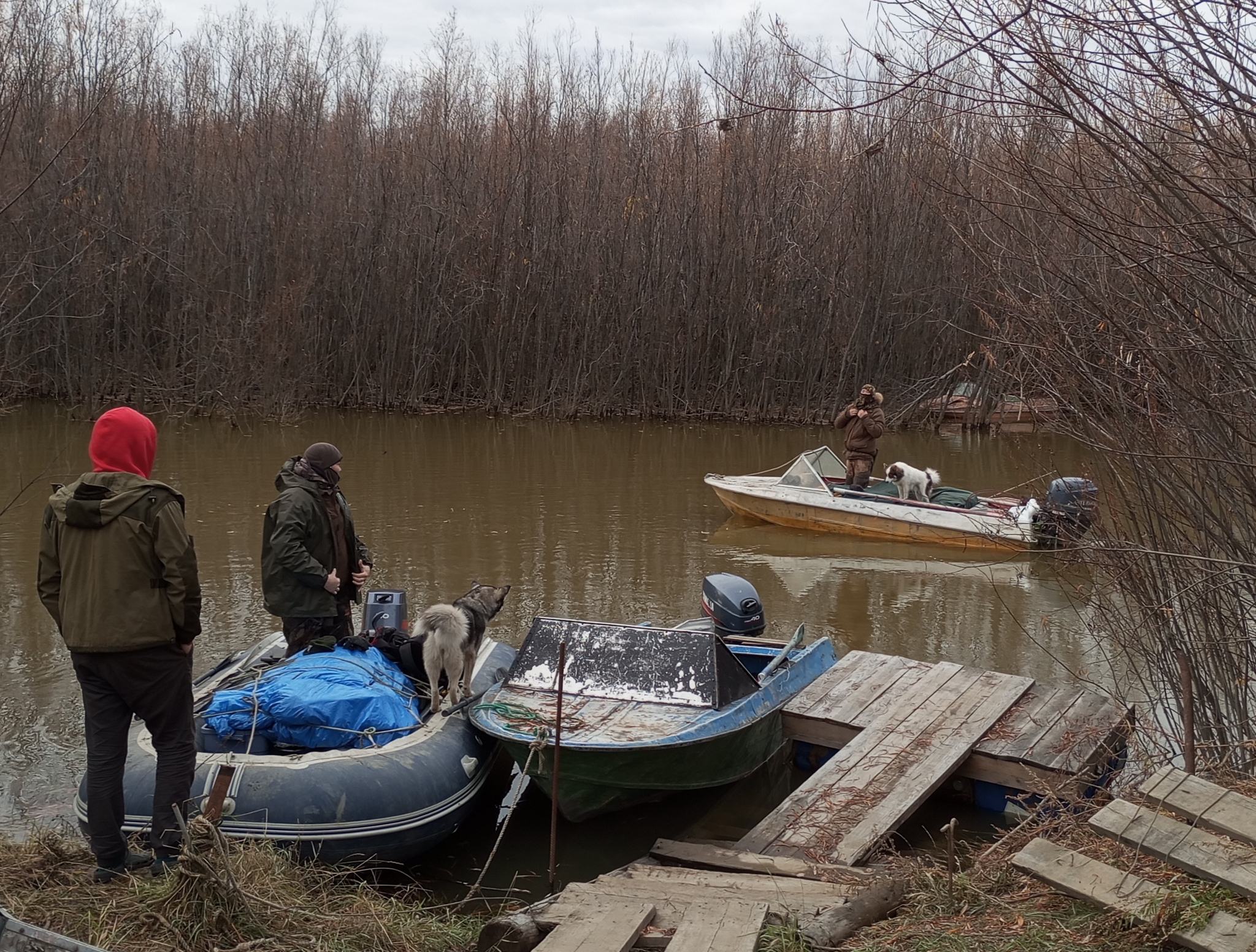 Life on TDS in the taiga. Guest season - My, Hunter, Fishing, Weather station, Guests, Download, The hosts file, Need advice, Help, Longpost