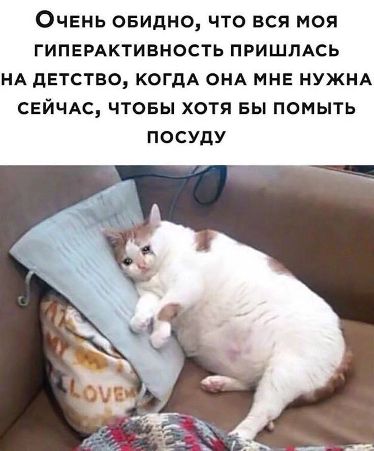 A little bit about childhood - Psychology, Психолог, Emotions, Memes, cat, Fat cats, Humor, Picture with text, Childhood