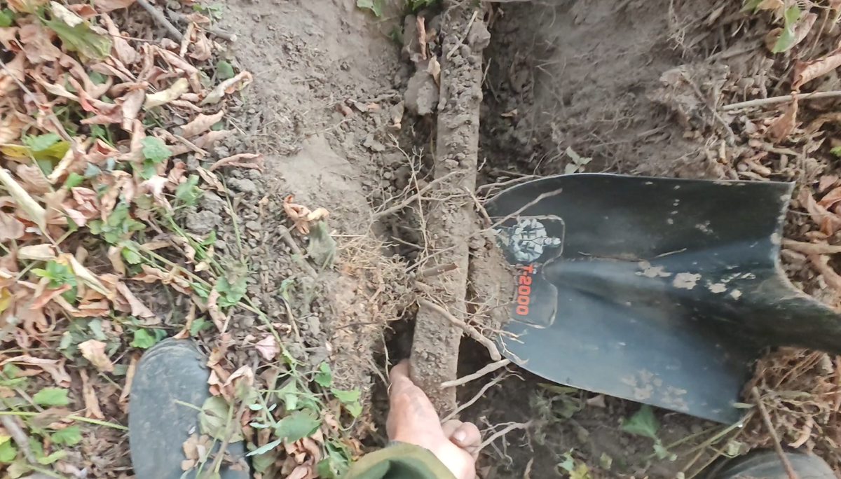 One day of an uncle with a metal detector searching abandoned places - My, Find, Abandoned, Search, Longpost, Metal detector