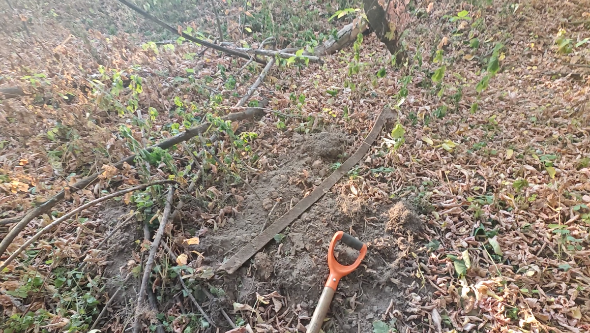 One day of an uncle with a metal detector searching abandoned places - My, Find, Abandoned, Search, Longpost, Metal detector