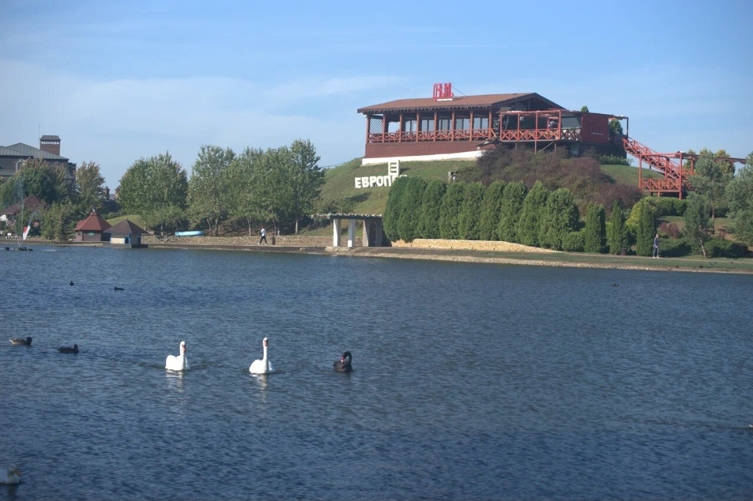 Lake in Krasnodar - My, Lake, Swans, sights, Krasnodar