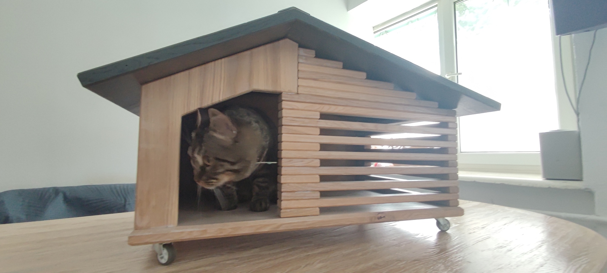 Reply to the post We are building a house for a cat - My, Pet house, cat, Reply to post, Longpost, With your own hands, The photo