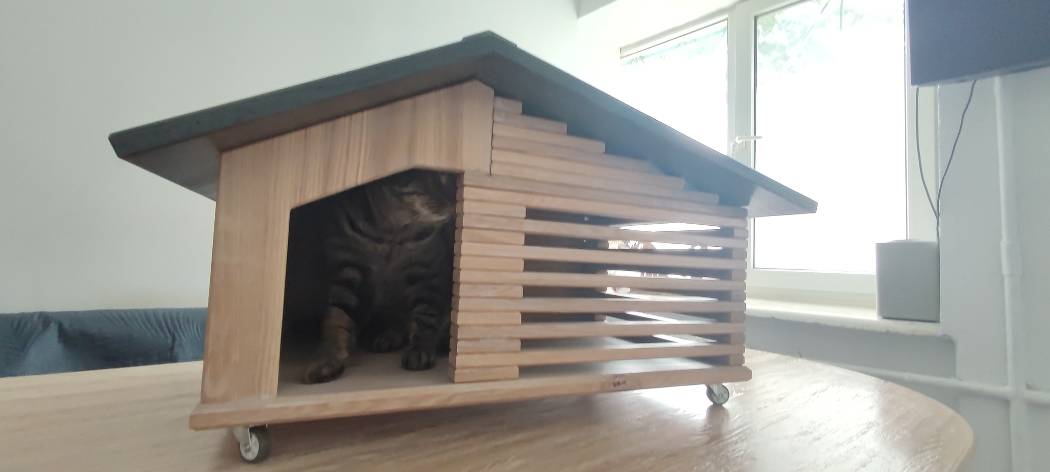 Reply to the post We are building a house for a cat - My, Pet house, cat, Reply to post, Longpost, With your own hands, The photo