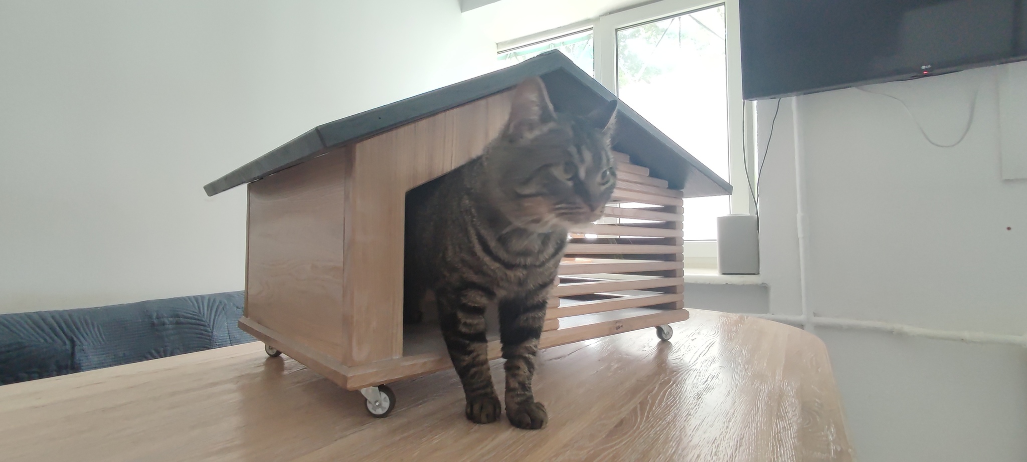 Reply to the post We are building a house for a cat - My, Pet house, cat, Reply to post, Longpost, With your own hands, The photo