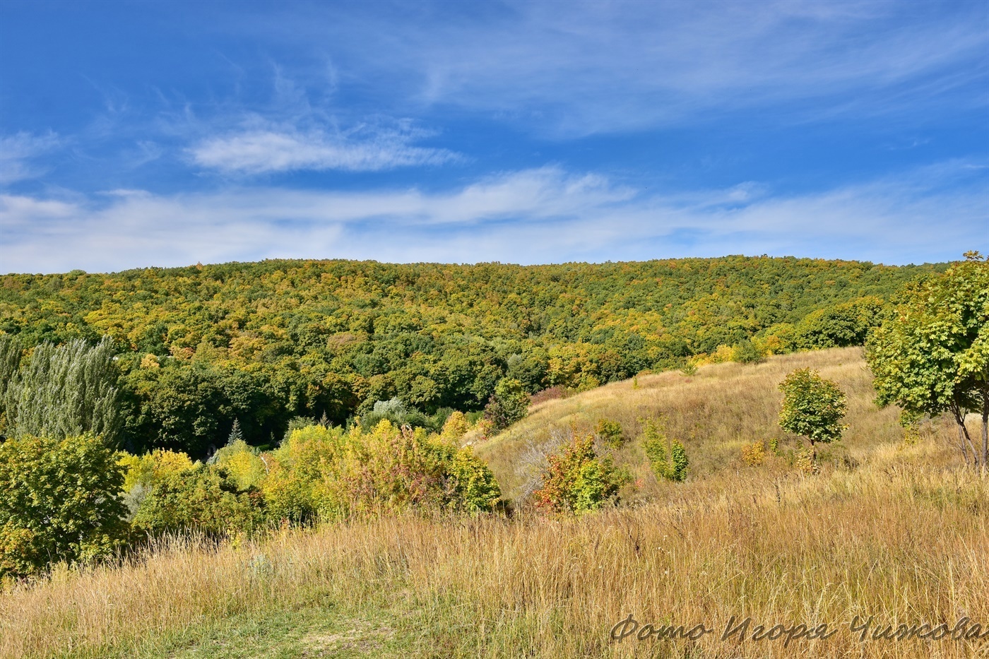 Saratov, October Gorge - Saratov, The photo, Nature, Forest, The park, Autumn, Tree, Foliage, Landscape, VKontakte (link), Longpost