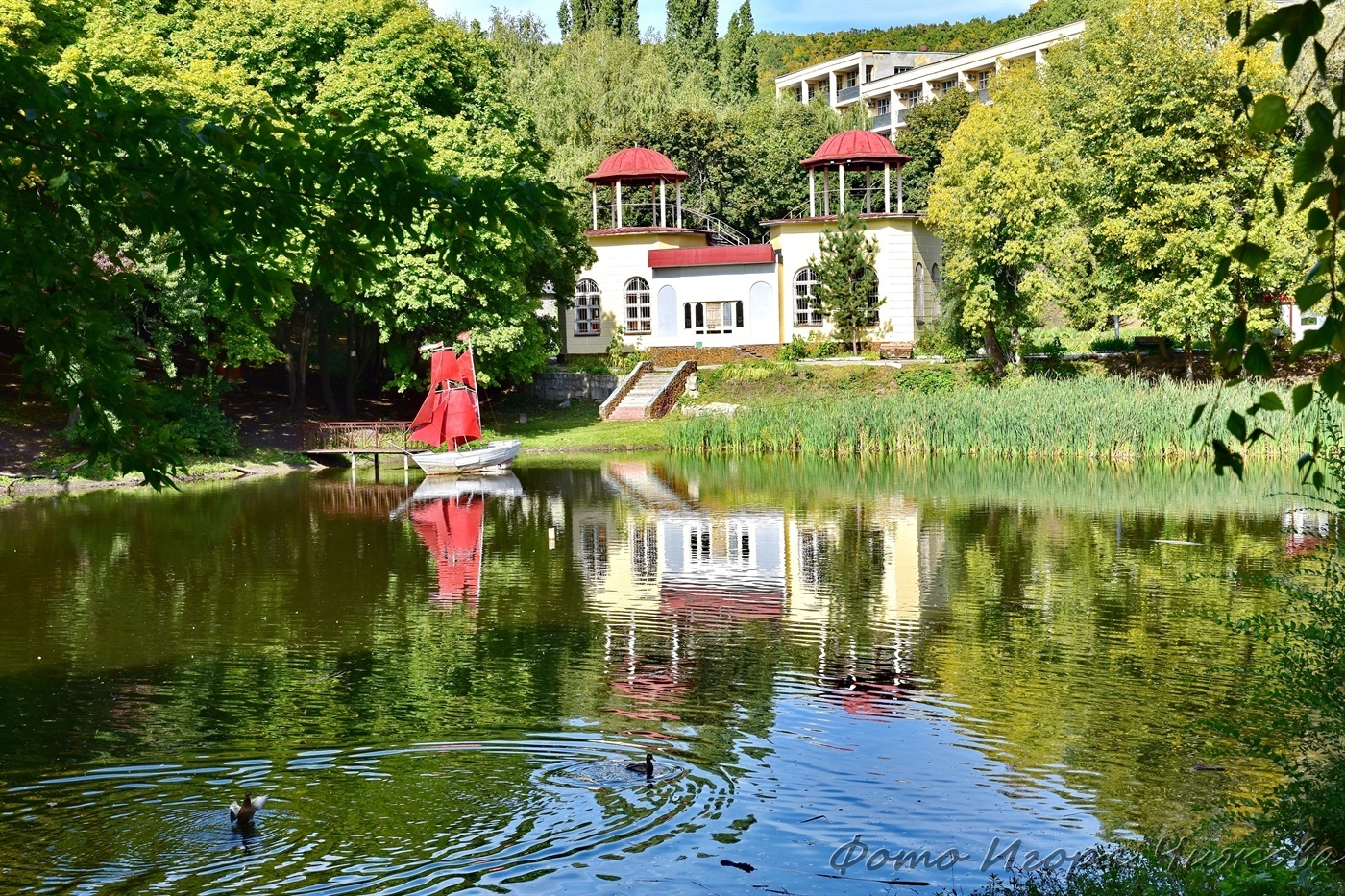 Саратов, Октябрьское ущелье - Саратов, Фотография, Природа, Лес, Парк, Осень, Дерево, Листва, Пейзаж, ВКонтакте (ссылка), Длиннопост