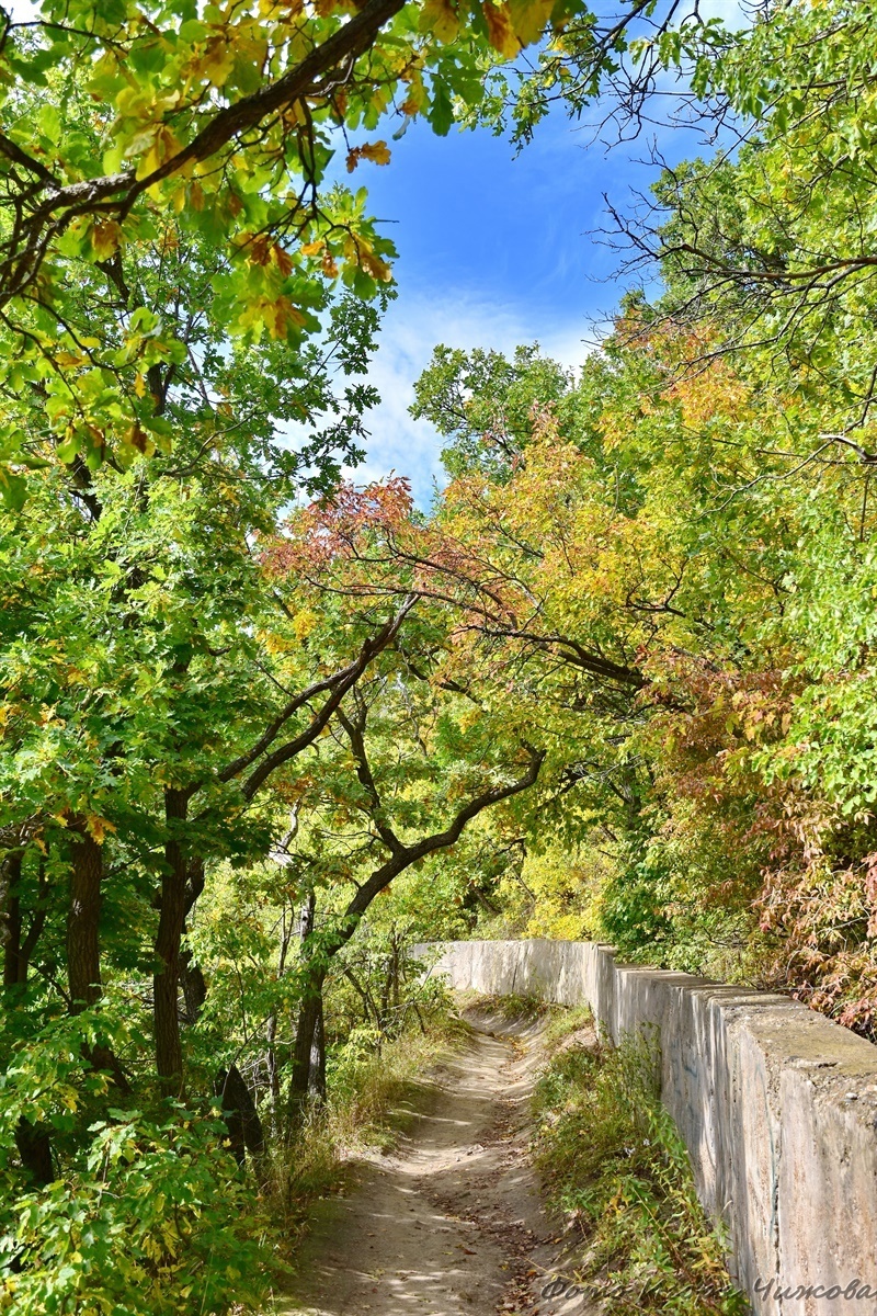 Saratov, October Gorge - Saratov, The photo, Nature, Forest, The park, Autumn, Tree, Foliage, Landscape, VKontakte (link), Longpost