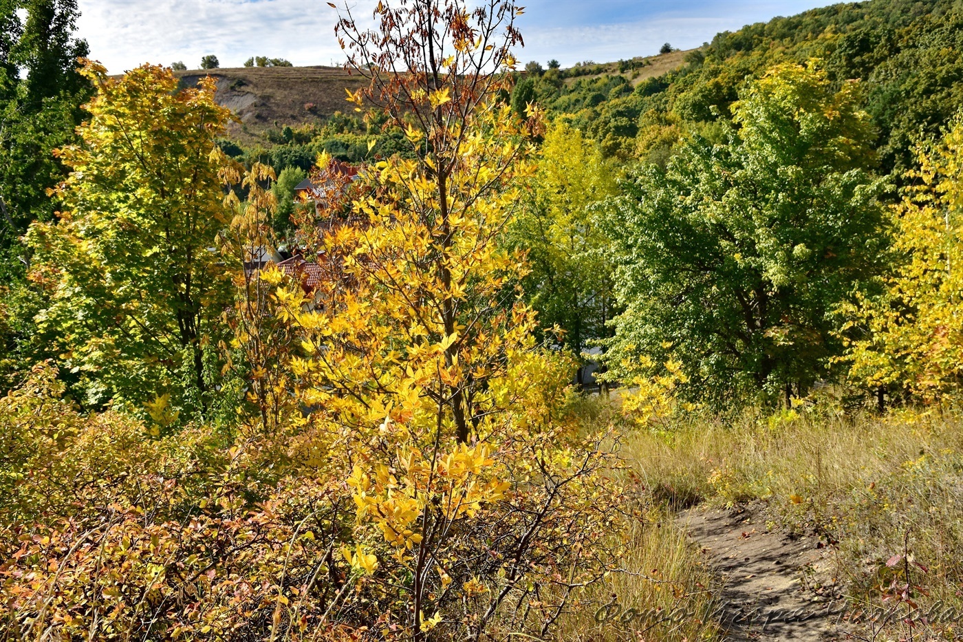 Saratov, October Gorge - Saratov, The photo, Nature, Forest, The park, Autumn, Tree, Foliage, Landscape, VKontakte (link), Longpost