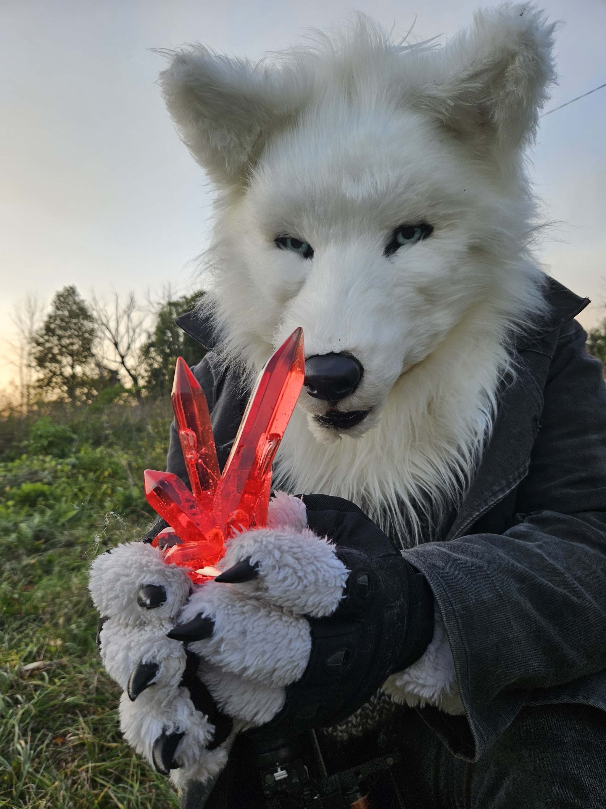 Chicks briks and ladies - My, Furry, Fursjoot, Cosplay, Stalker, Longpost