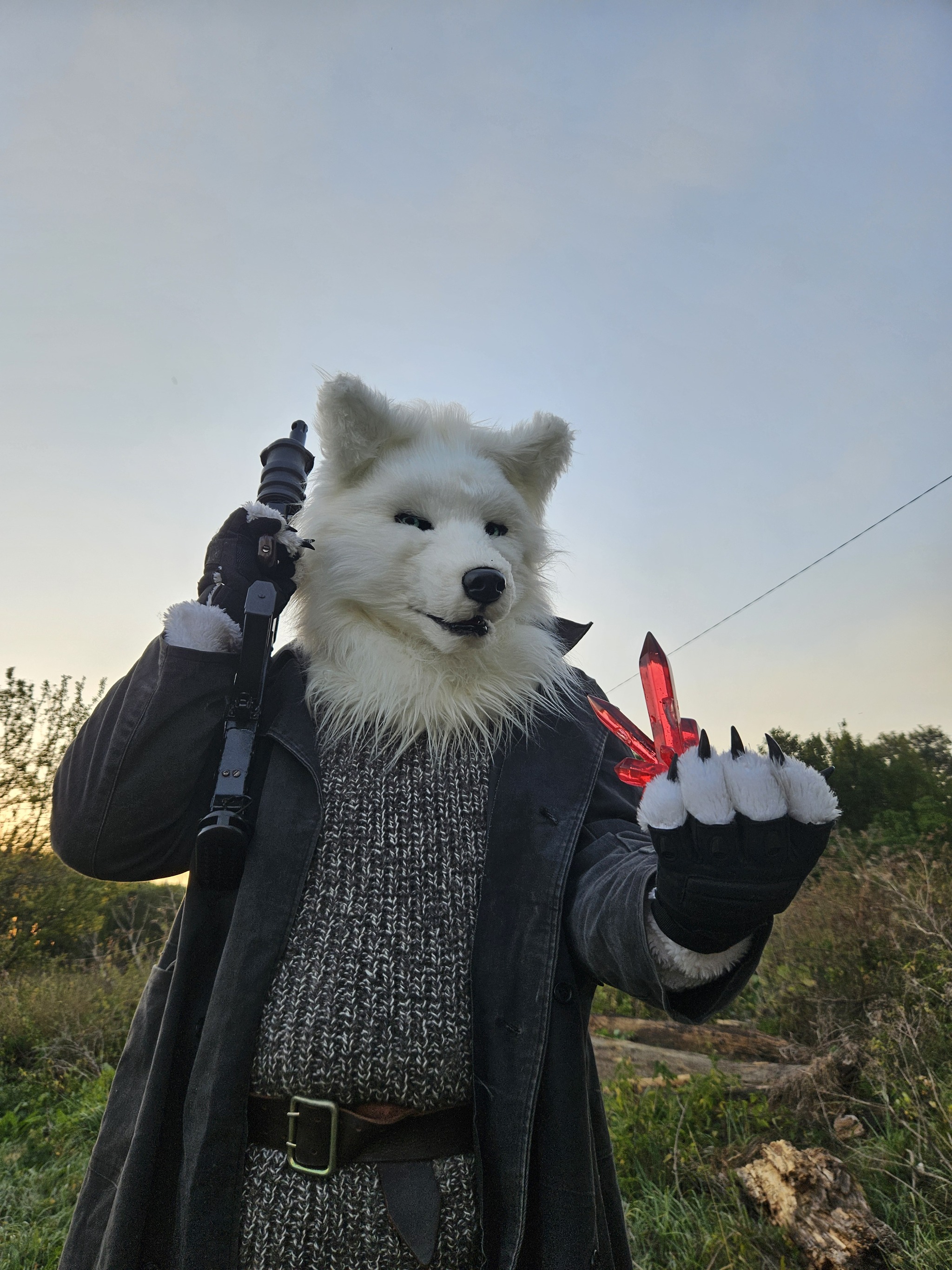 Chicks briks and ladies - My, Furry, Fursjoot, Cosplay, Stalker, Longpost