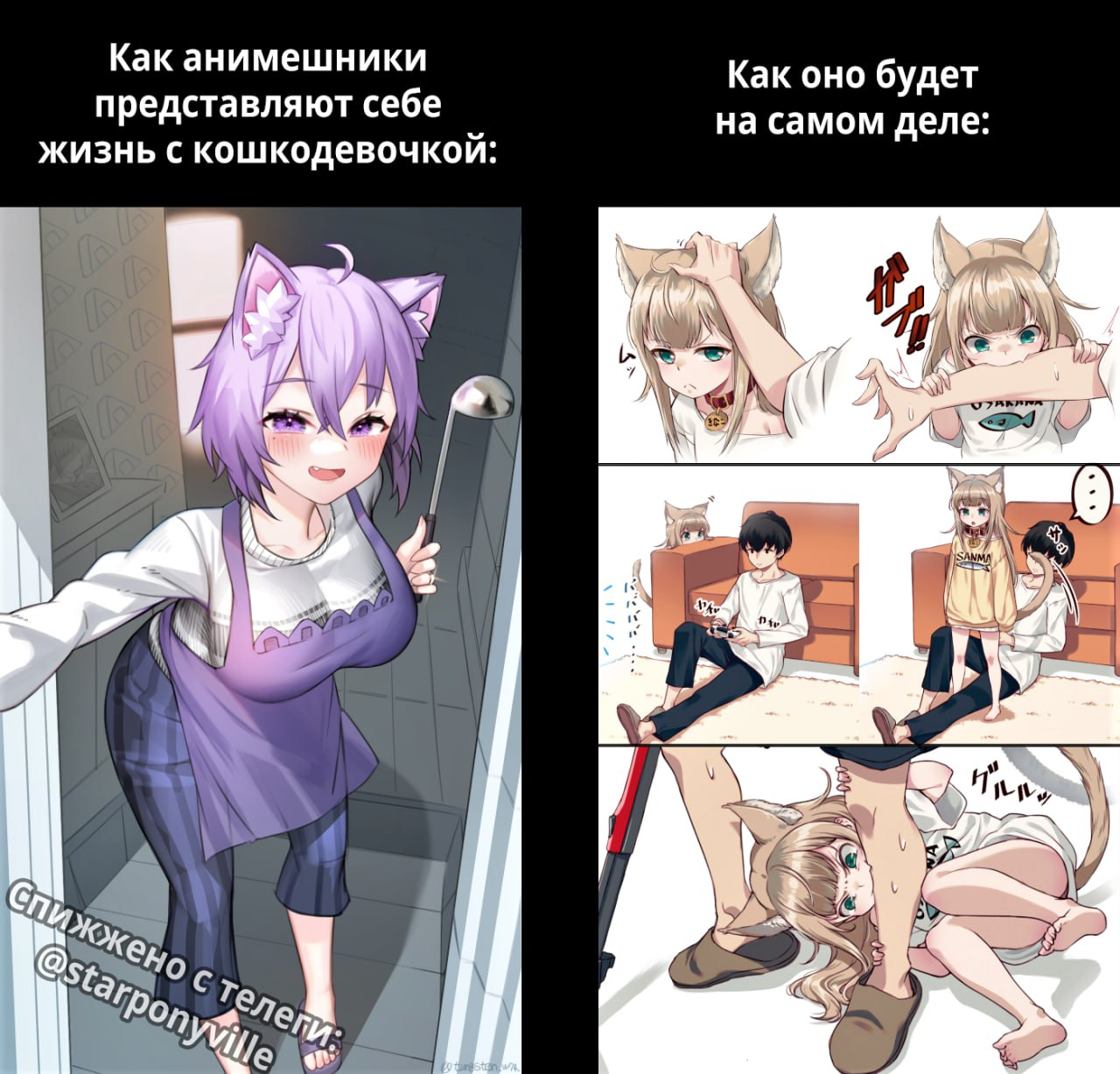 This is even better - My, Anime, Anime memes, Picture with text, Animal ears, Neko, Nekomata Okayu, Kinako, Translated by myself, 40hara