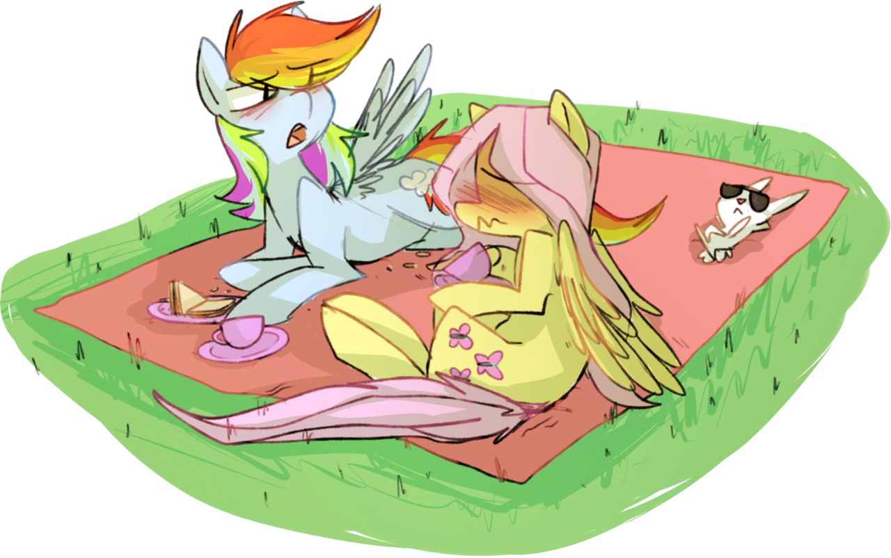 Picnic - My little pony, Fluttershy, Rainbow dash