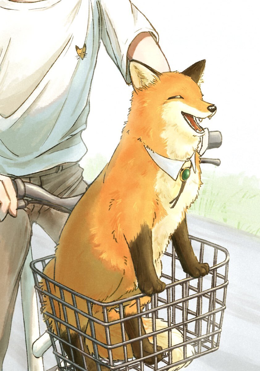 Life with a fox - Art, Drawing, Fox, Longpost, Repeat