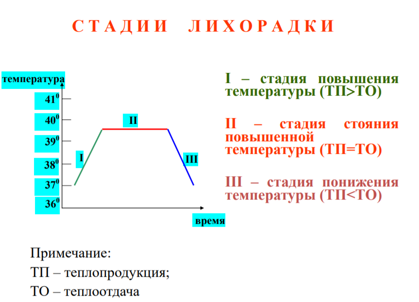 Белая и красная лихорадки. Холодные конечности при температуре - Моё, Здоровье, Медицина, Лихорадка, Врачи, Высокая температура, Длиннопост