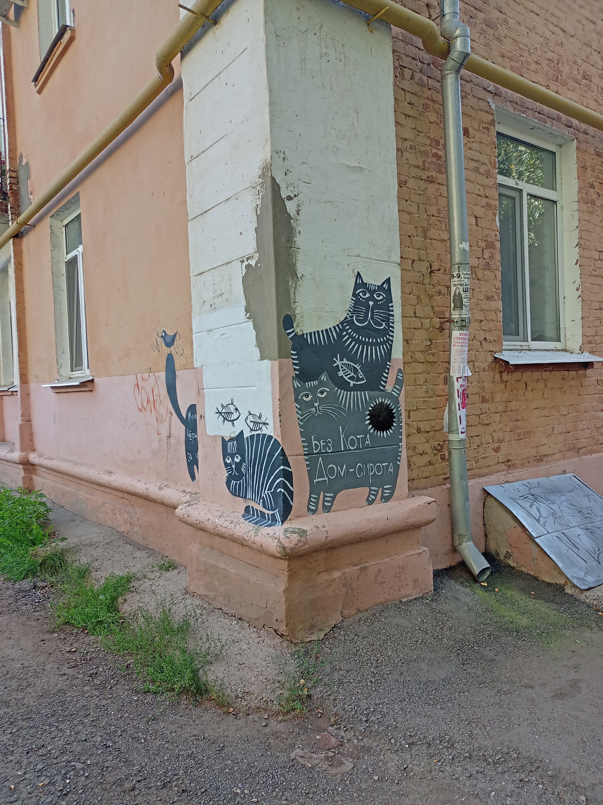 Votkinsk cats - cat, Fluffy, Paws, Pets, Street art, Black cat, Pet the cat, Drawing, Kittens, Cat lovers, Votkinsk, Milota, Fat cats, Longpost