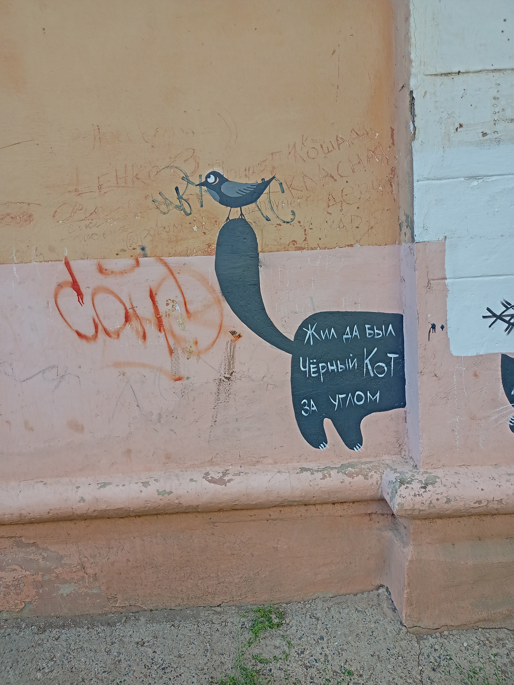 Votkinsk cats - cat, Fluffy, Paws, Pets, Street art, Black cat, Pet the cat, Drawing, Kittens, Cat lovers, Votkinsk, Milota, Fat cats, Longpost