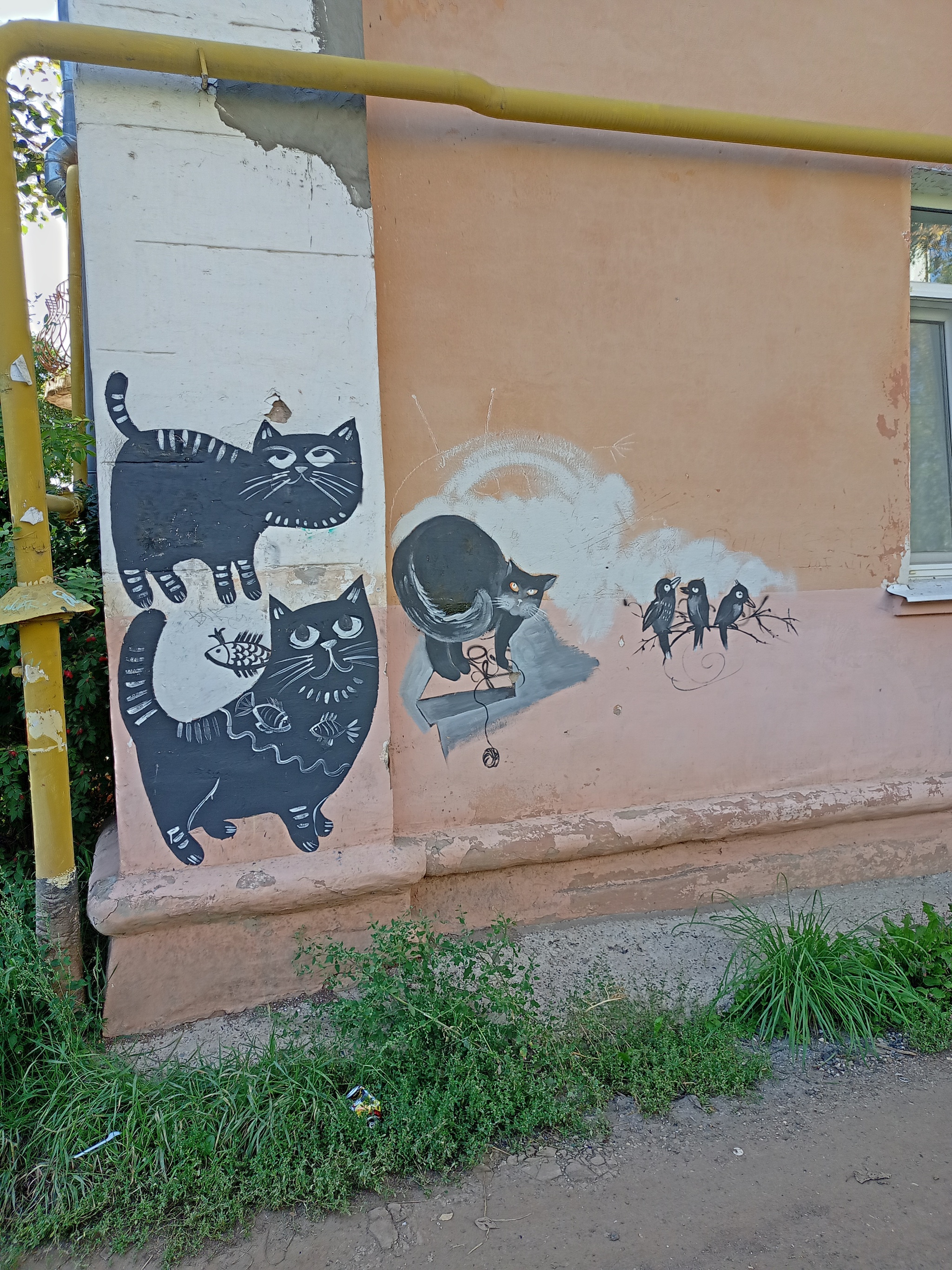 Votkinsk cats - cat, Fluffy, Paws, Pets, Street art, Black cat, Pet the cat, Drawing, Kittens, Cat lovers, Votkinsk, Milota, Fat cats, Longpost