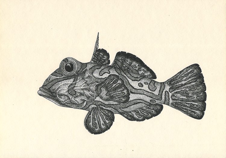 FISH - My, Illustrations, Dotwork, Drawing, Images, Graphics, 2D, Painting, A fish