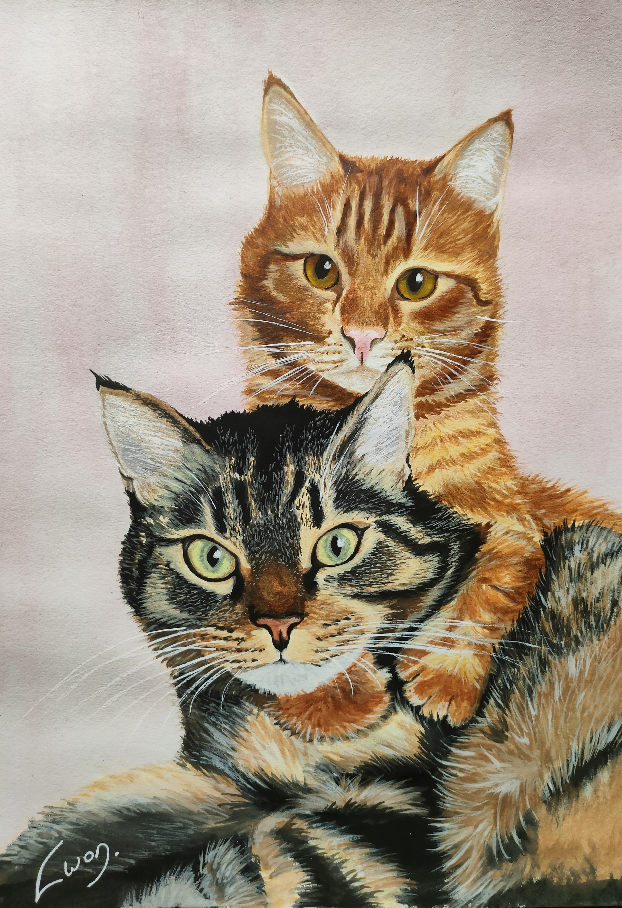 Cat Portraits #20/21 Gavnyusha and Kurkusya - My, Drawing, Painting, Learning to draw, Beginner artist, cat, Pets, Animalistics, Watercolor, Gouache, Traditional art