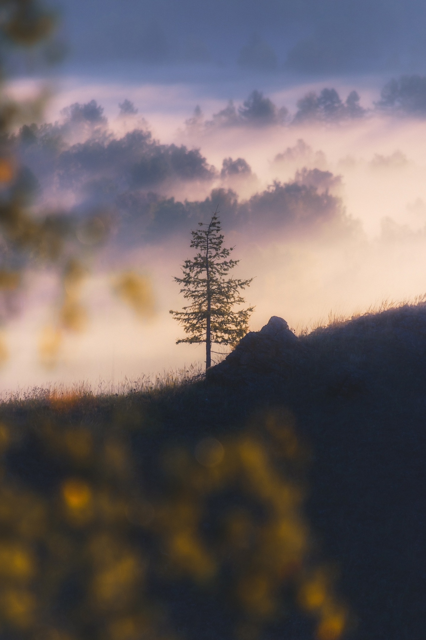 One day at dawn - My, Landscape, The photo, Southern Urals, Ural mountains, Nurali, Uchily, Fog, dawn, Beautiful view