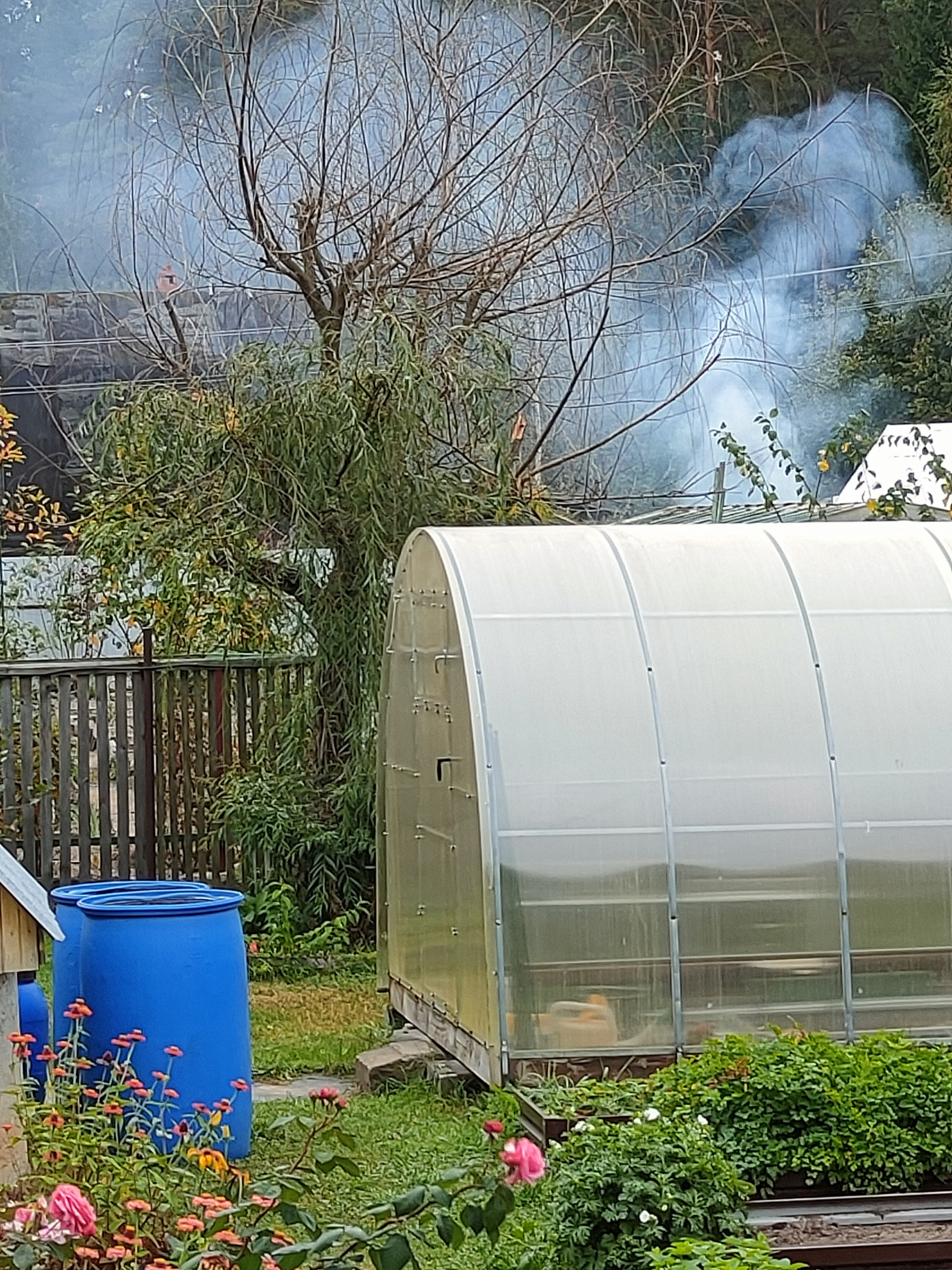 Neighbors at the dacha are obsessed with burning garbage - My, Dacha, Smoke, Longpost, Neighbours