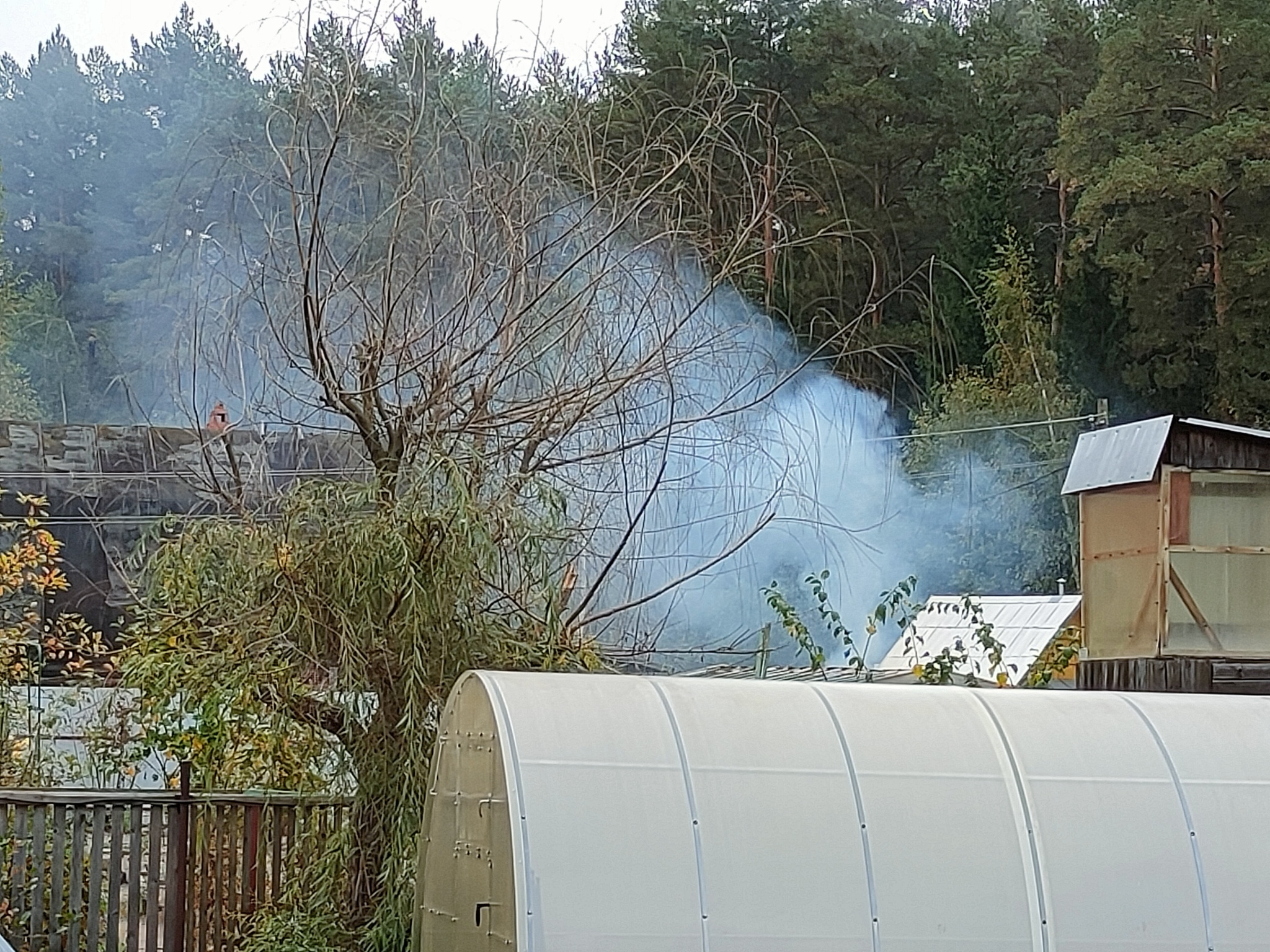 Neighbors at the dacha are obsessed with burning garbage - My, Dacha, Smoke, Longpost, Neighbours