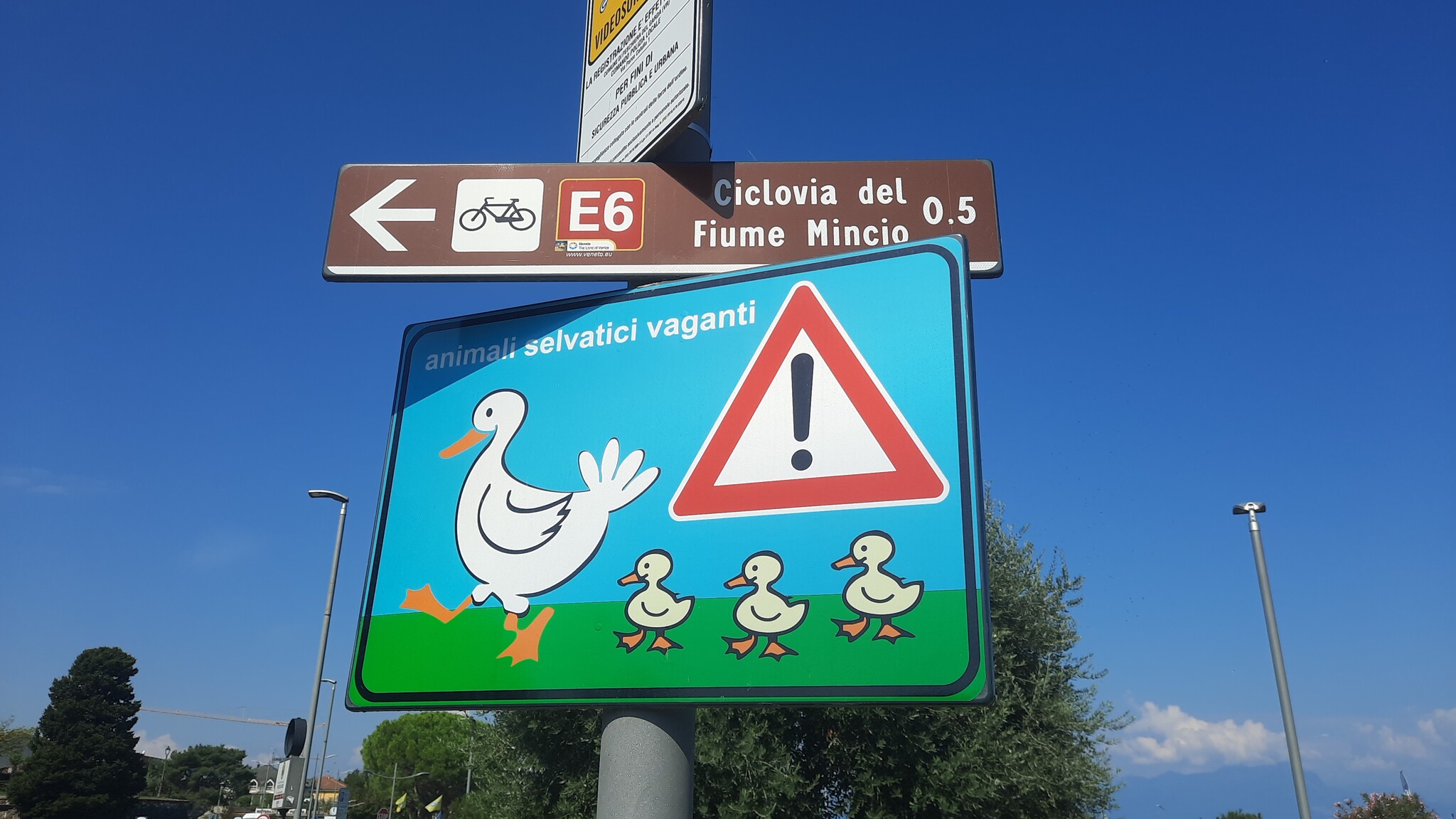 Road sign on Garda - My, Travels, Drive, Italy, Birds, Road sign, The photo