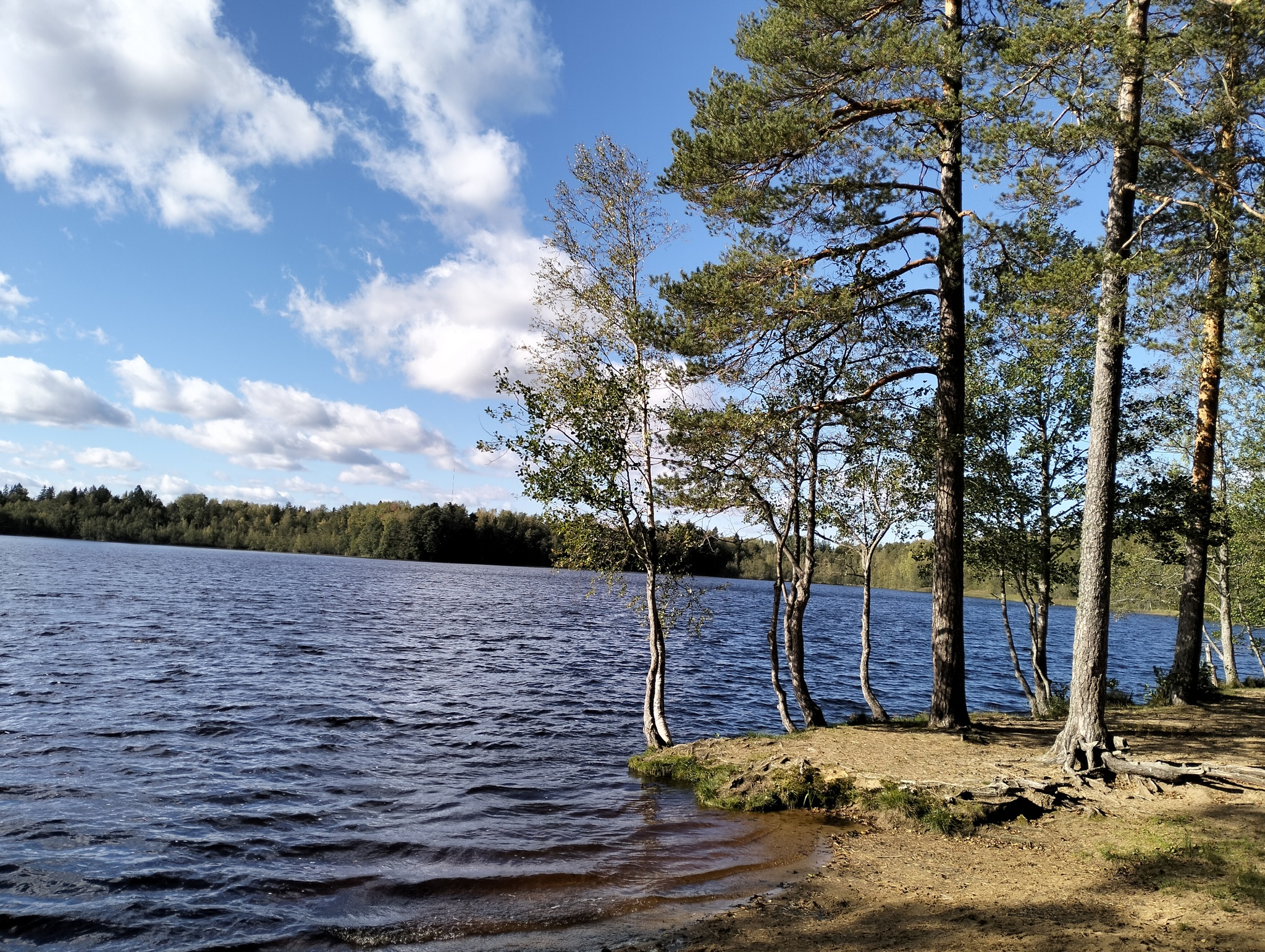 Maloe Kirillovskoe Lake - My, Lake, Leningrad region, Nature, Mobile photography