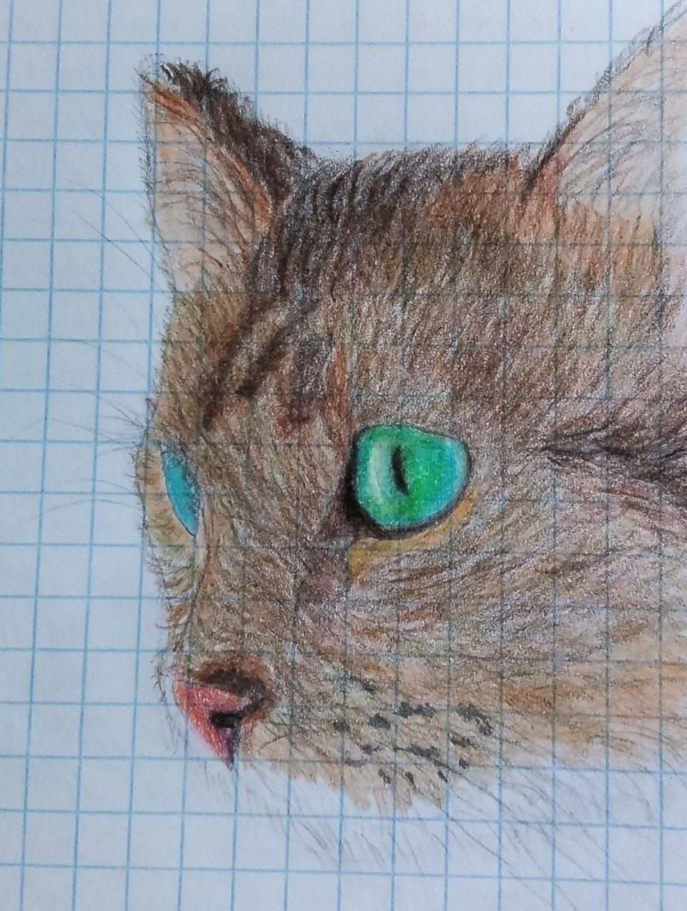 Pencil drawing - My, Beginner artist, Drawing, Painting, cat, Colour pencils, Pencil drawing