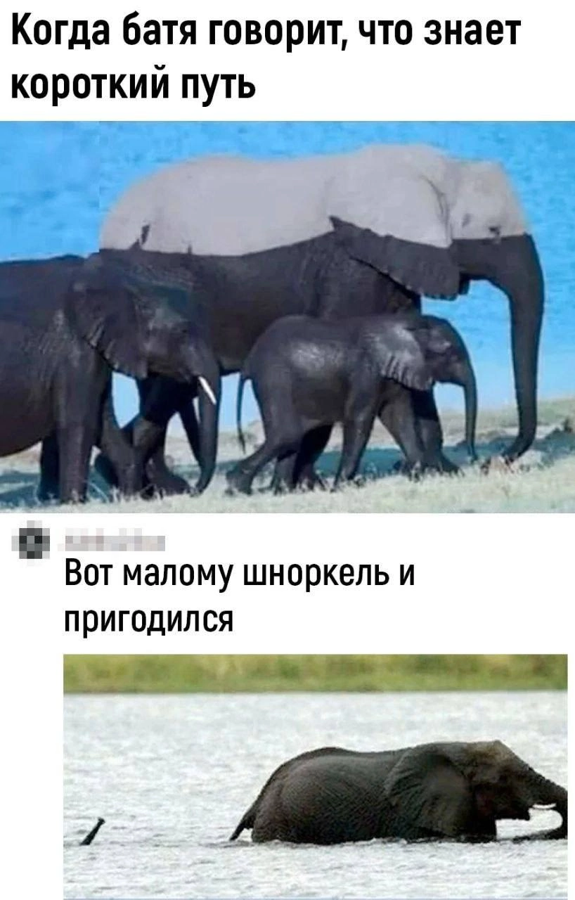Самый умный | Пикабу